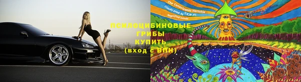 apvp Кодинск