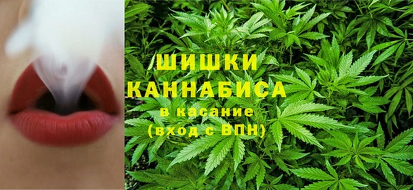 спиды Киреевск