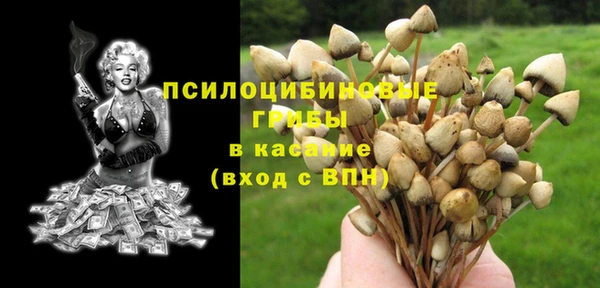 спиды Киреевск