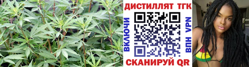 Дистиллят ТГК концентрат  Купить закладки  Ивдель 