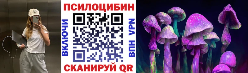 Купить где Ивдель Псилоцибиновые грибы мухоморы